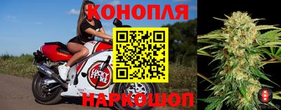 стафф Новокубанск