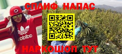стафф Новокубанск