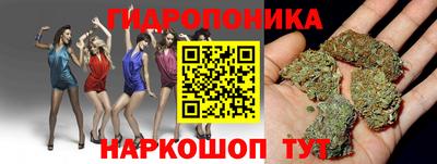 Альфа ПВП Новодвинск